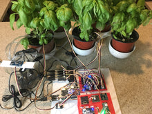 Load image into Gallery viewer, 4 Pack - Capacitive Plant Moisture Sensor Corrosion Resistant Grove