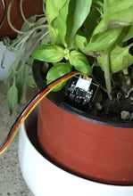 Load image into Gallery viewer, 4 Pack - Capacitive Plant Moisture Sensor Corrosion Resistant Grove