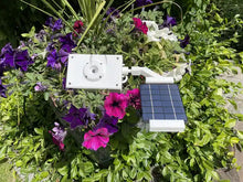 Load image into Gallery viewer, Solar SkyCam - WeatherSense